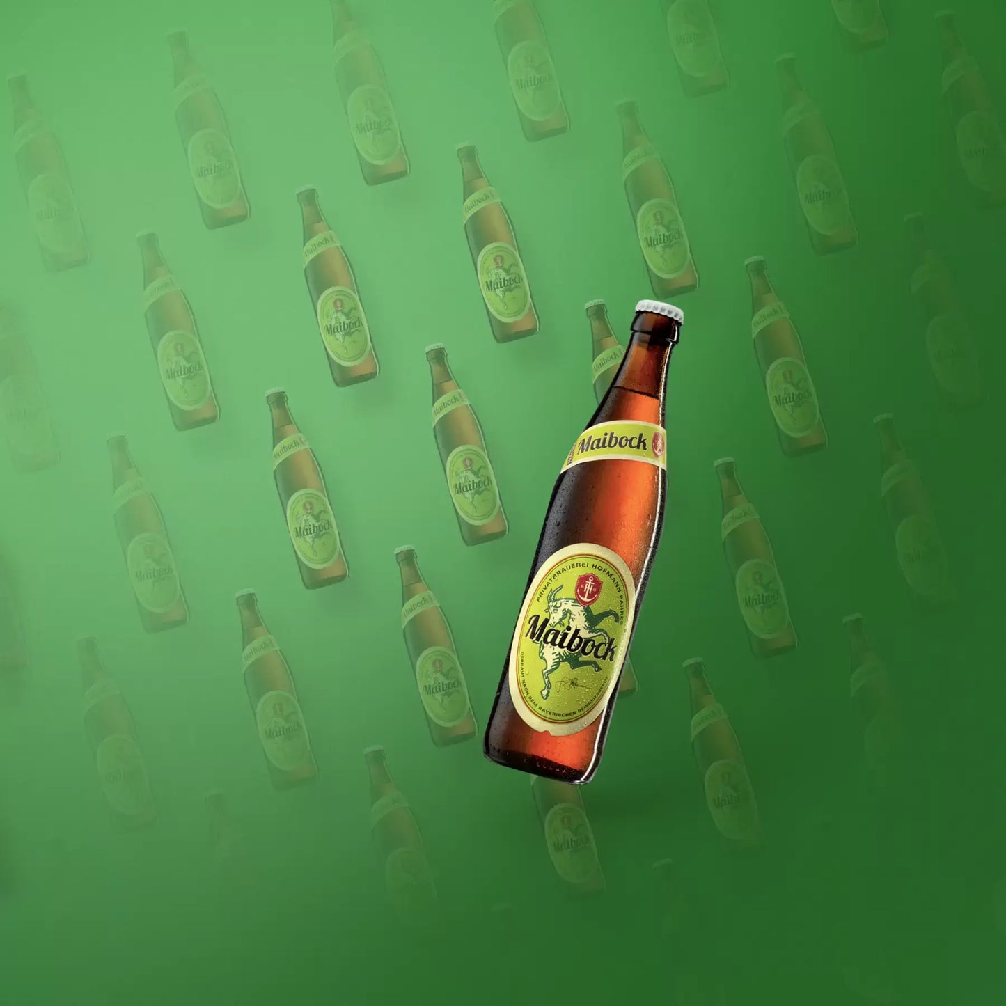 Hofmann Maibock