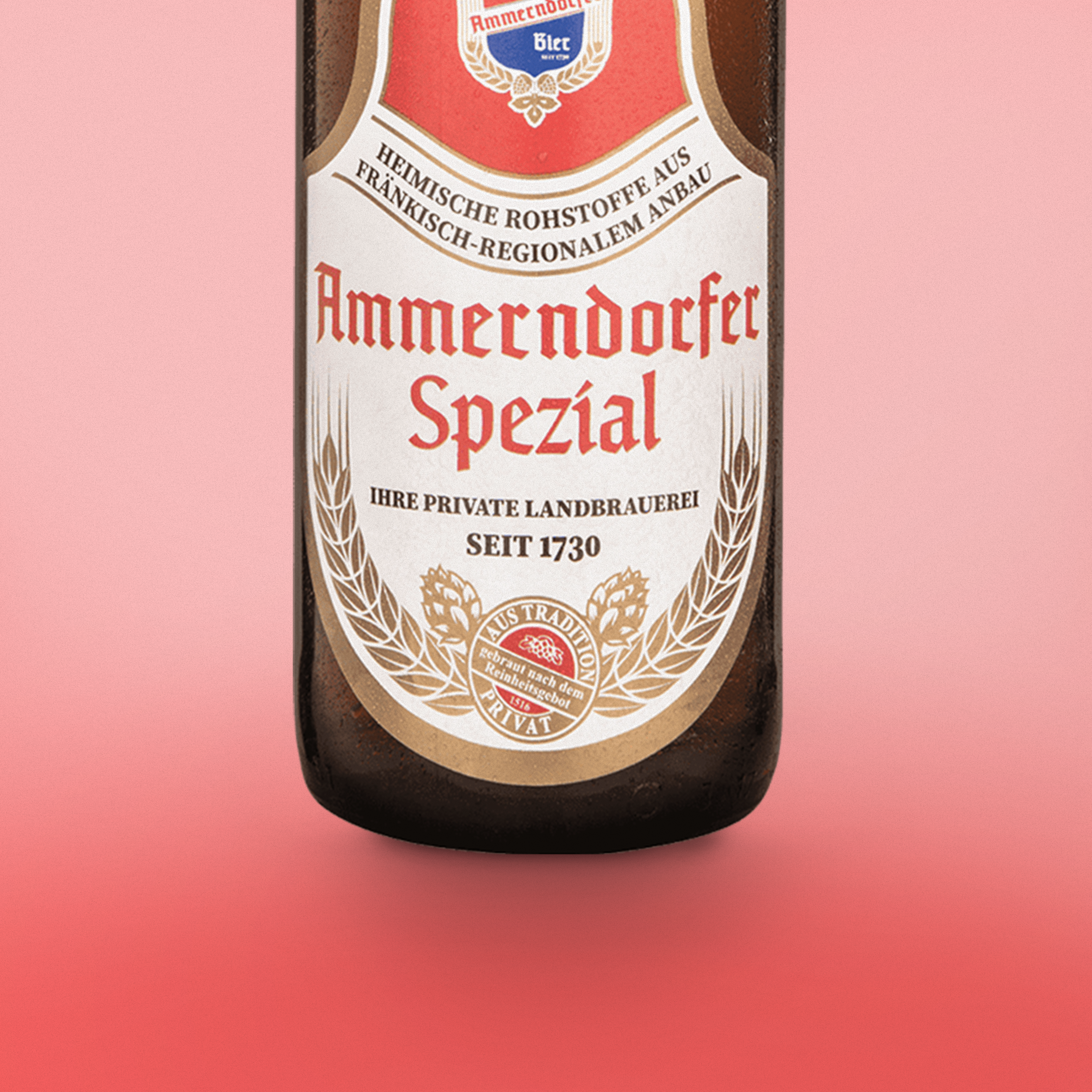 Biere aus Mittelfranken - 12er Bierpaket