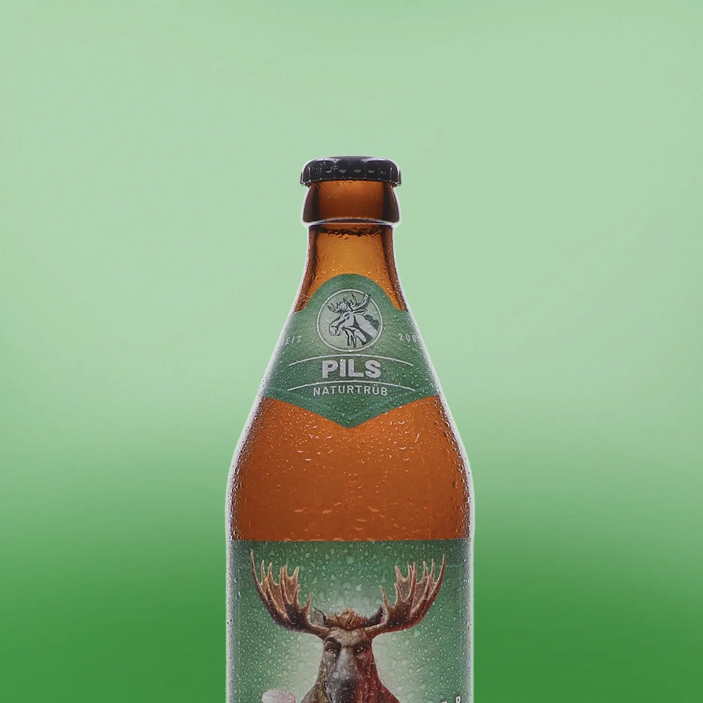 Unsere Topseller - 12er Bierpaket