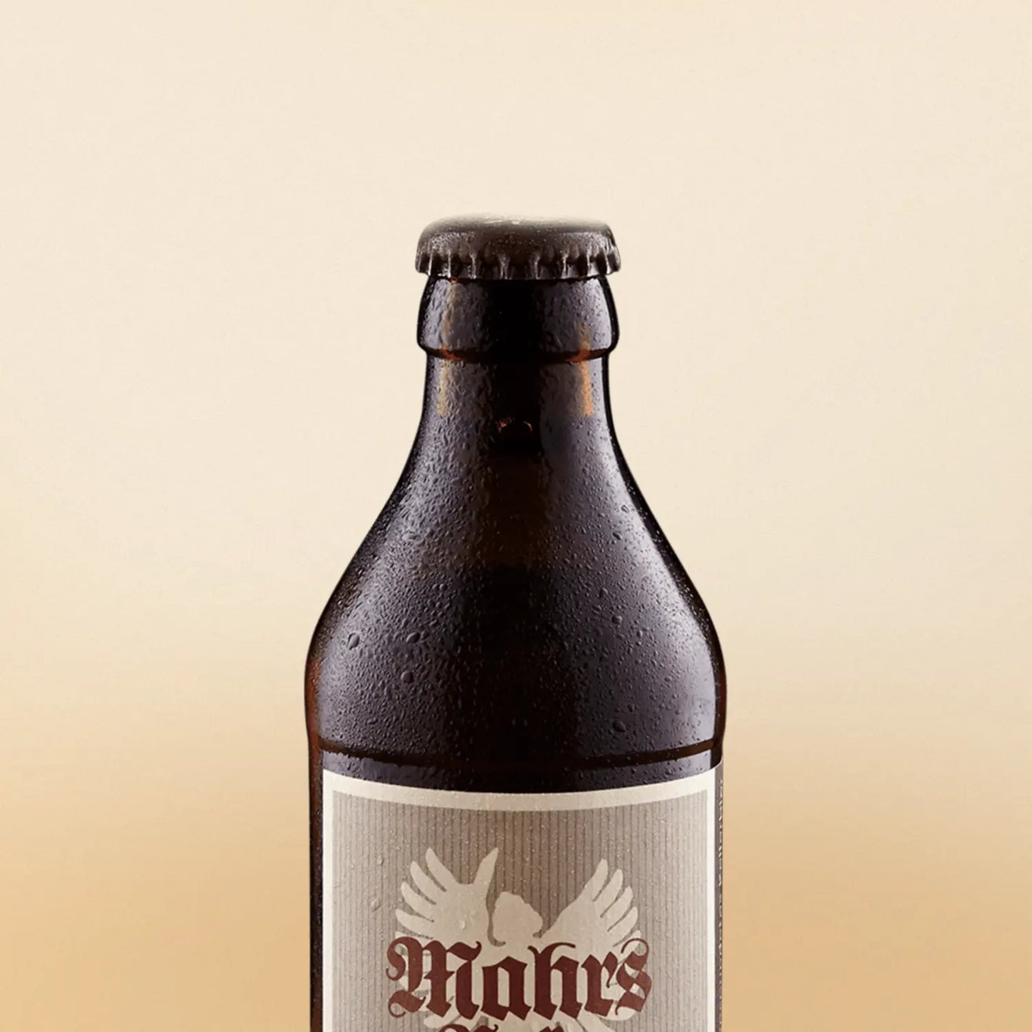 Biere aus Bamberg - 18er Bierpaket