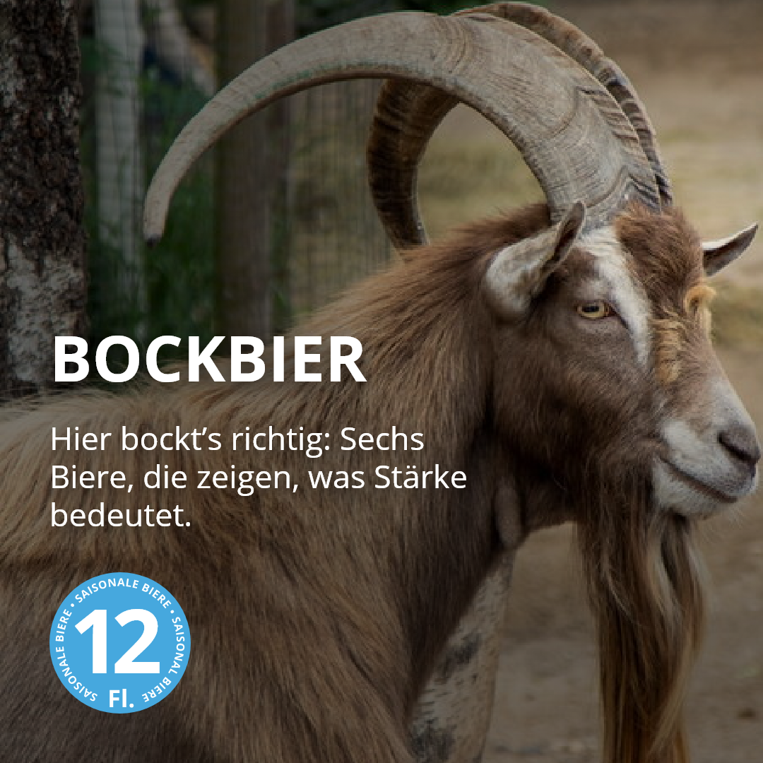 Bockbiere - 12er Bierpaket