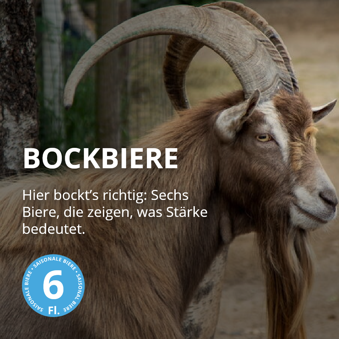 Bockbiere - 6er Bierpaket