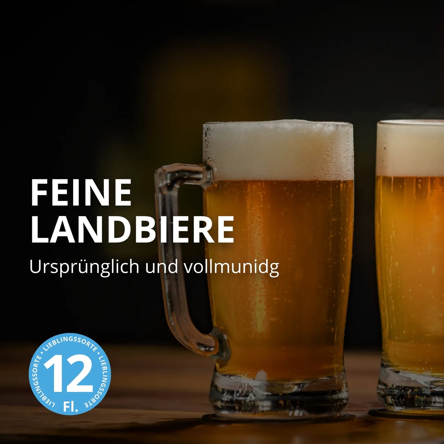 Feine Landbiere - 12er Bierpaket